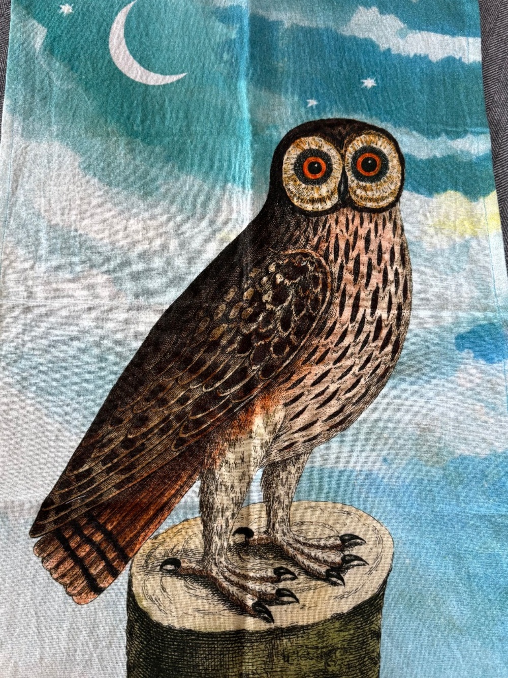NWOT, JOHN DERIAN FOR THRESHOLD, OWL COLLECTION TEA TOWEL